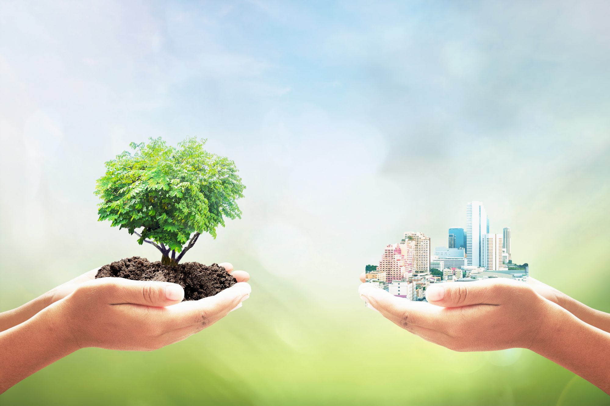 Climate Change Adaptation & Resilience