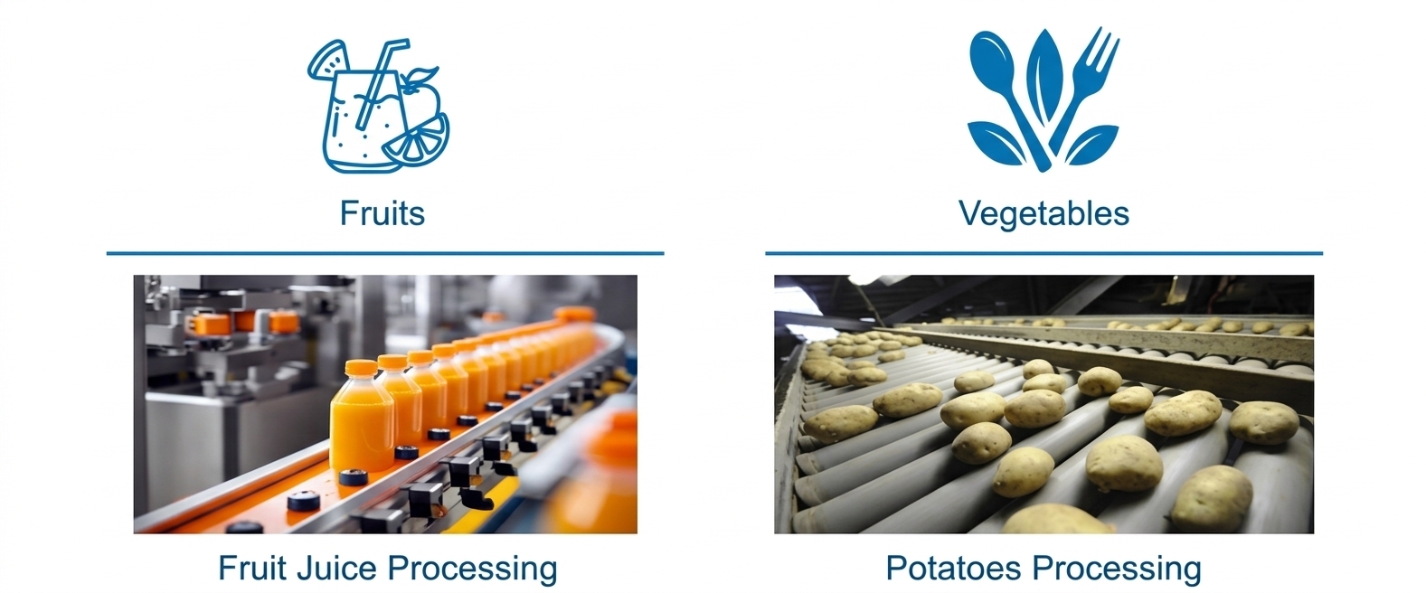 Fruit and Vegetables Processing Matrix